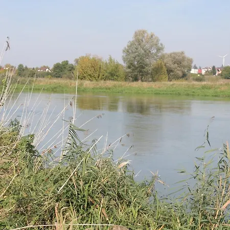 Kolo Apartament * Koło