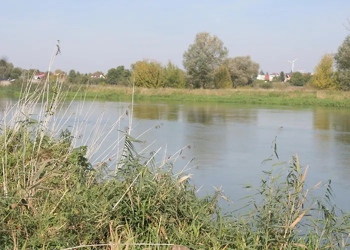 Kolo Apartament * Koło